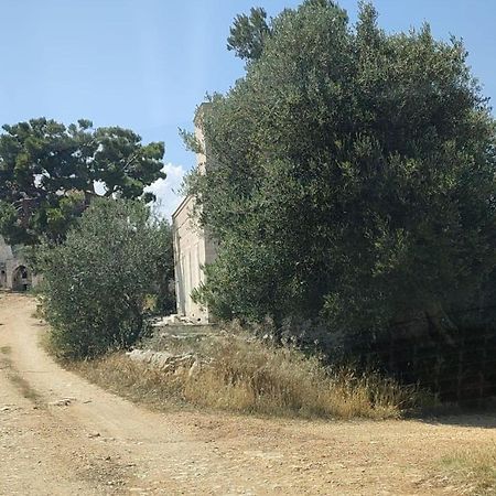 Bed and Breakfast La Guendalina Masseria E Casa Particular Monopoli Zewnętrze zdjęcie