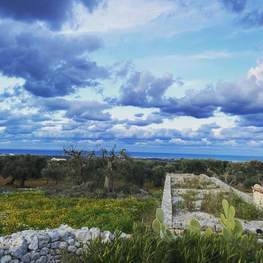 Bed and Breakfast La Guendalina Masseria E Casa Particular Monopoli Zewnętrze zdjęcie